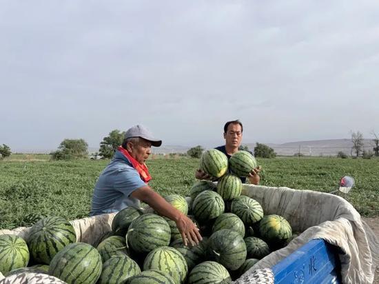 吃瓜娱乐园,娱乐圈幕后故事大公开